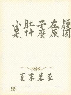 小肚子左腹部疼是什么原因女性