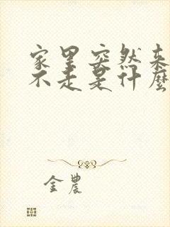 家里突然来只狗不走是什么预兆