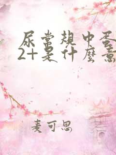 尿常规中蛋白质2+是什么意思