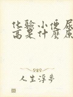 化验小便尿蛋白高是什么原因