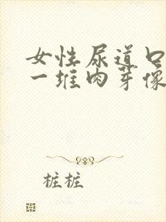 女性尿道口下方一堆肉芽像柚子