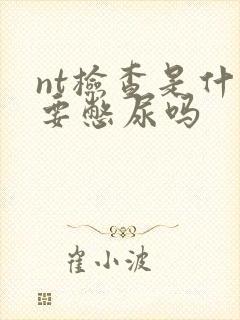 nt检查是什么要憋尿吗