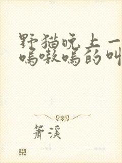 野猫晚上一直嗷呜嗷呜的叫