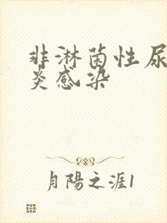 非淋菌性尿道发炎感染