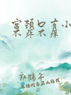 宫颈口有小疙瘩不疼不痒