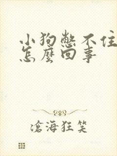 小狗憋不住尿是怎么回事