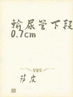 输尿管下段结石0.7cm