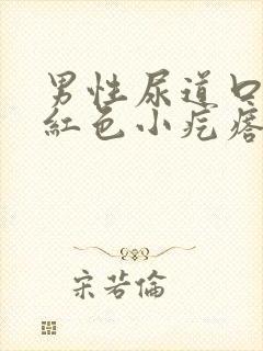 男性尿道口有个红色小疙瘩