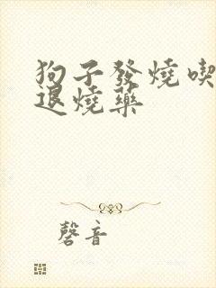 狗子发烧吃什么退烧药