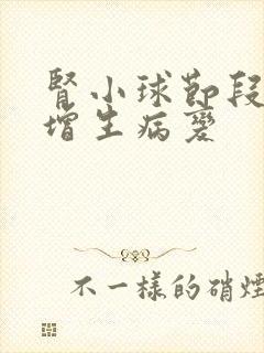 肾小球节段系膜增生病变