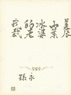 我的冰山美女总裁老婆叶辰