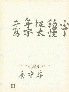 二年级的小朋友写字太慢了要怎么办