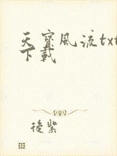 天宝风流txt下载