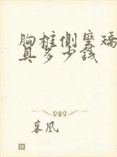 胸椎侧弯矫正支具多少钱