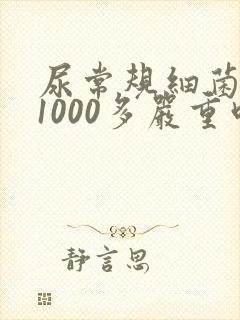尿常规细菌计数1000多严重吗