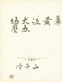 幼犬流黄鼻涕怎么办