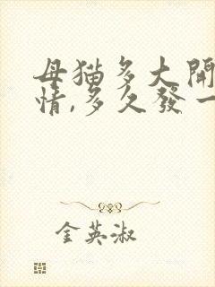 母猫多大开始发情,多久发一次