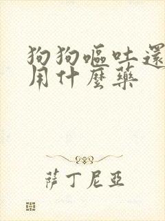 狗狗呕吐还拉血用什么药