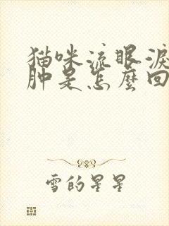 猫咪流眼泪眼睛肿是怎么回事