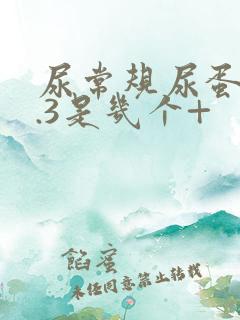 尿常规尿蛋白0.3是几个+