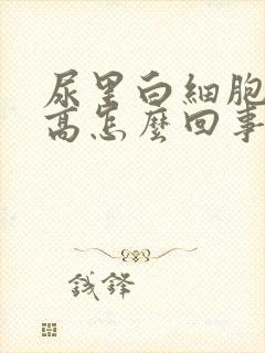 尿里白细胞计数高怎么回事