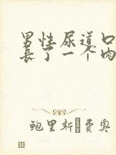 男性尿道口外侧长了一个肉芽