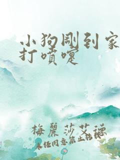 小狗刚到家有点打喷嚏