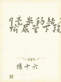 9毫米的结石在输尿管下段