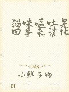 猫咪呕吐是怎么回事未消化的猫粮