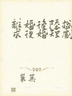 离婚后陆总哭着求复婚短剧