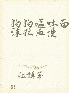 狗狗呕吐白色泡沫拉血便