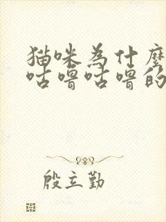 猫咪为什么发出咕噜咕噜的声音