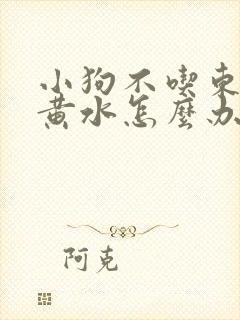 小狗不吃东西吐黄水怎么办