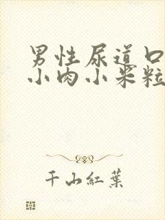 男性尿道口上长小肉小米粒