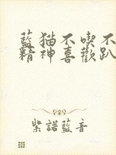 蓝猫不吃不喝没精神喜欢趴着