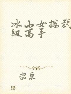 冰山女总裁的神级高手