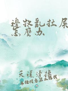 边牧乱拉屎拉尿怎么办