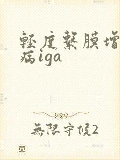 轻度系膜增生肾病iga