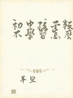 初中孩子叛逆期不学习怎么办