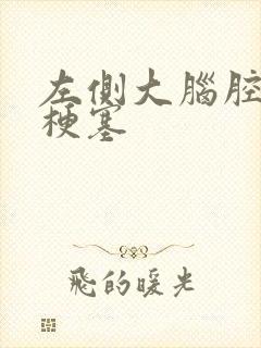 左侧大脑腔隙性梗塞