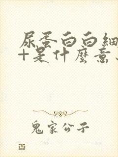 尿蛋白白细胞1+是什么意思