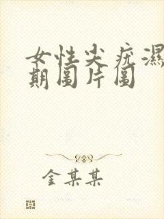 女性尖疣湿锐早期图片图