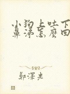 小狗上吐下泻流鼻涕怎么回事