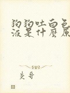 狗狗吐白色的粘液是什么原因