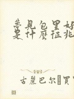 梦见包里好多钱是什么征兆