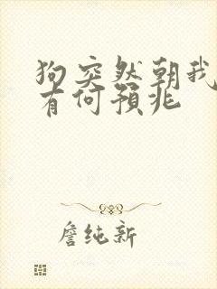 狗突然朝我凶叫有何预兆