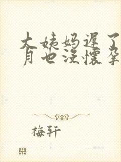 大姨妈迟了半个月也没怀孕咋回事