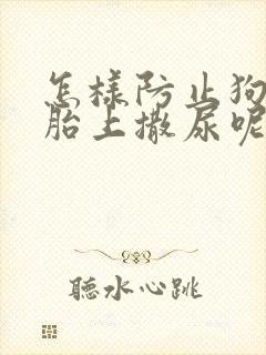 怎样防止狗往轮胎上撒尿呢