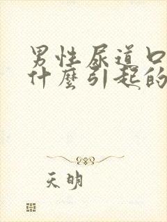 男性尿道口出脓什么引起的