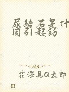 尿结石是什么原因引起的